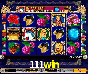 Descubra o Mundo do Cassino Online com 111win